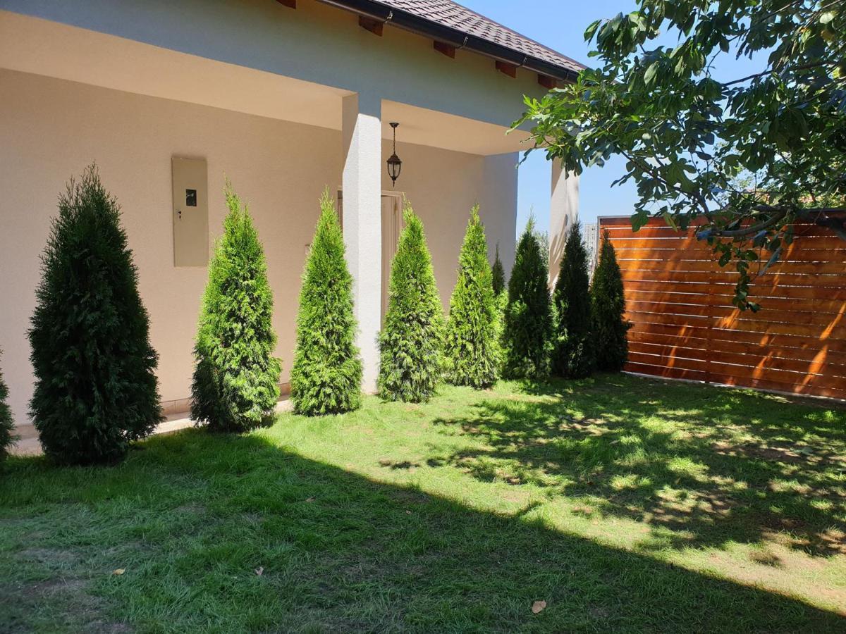 Villa Kuca Ema à Belgrade Extérieur photo